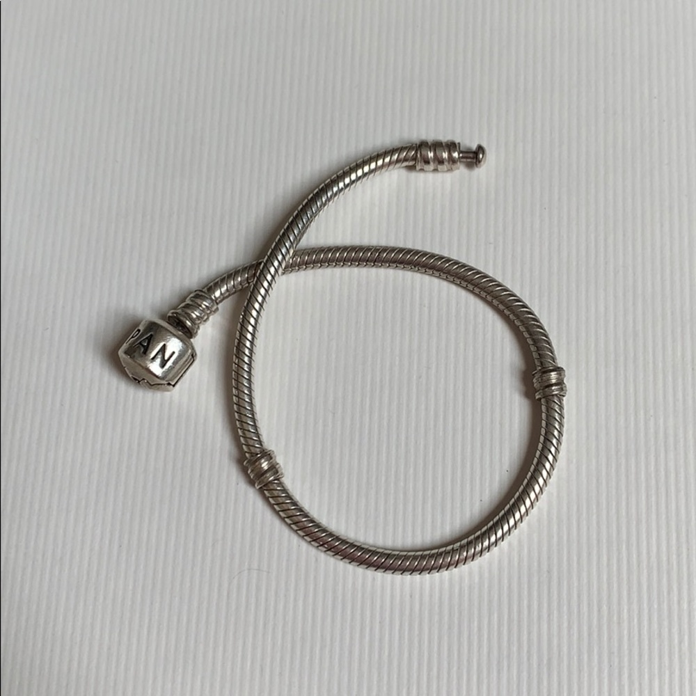 Silver Pandora Bracelet